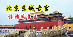 黄片大屌操操操中国北京-东城古宫旅游风景区